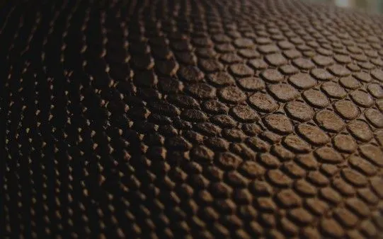 Textura de Cuero - Fondos de Pantalla. Imágenes y Fotos ... Textura de Cuero - Fondos de Pantalla. Imágenes y Fotos ...