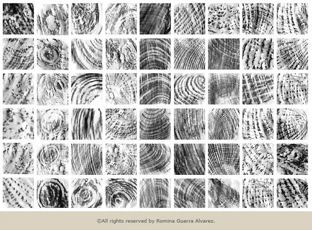 Textura con dibujo - Imagui