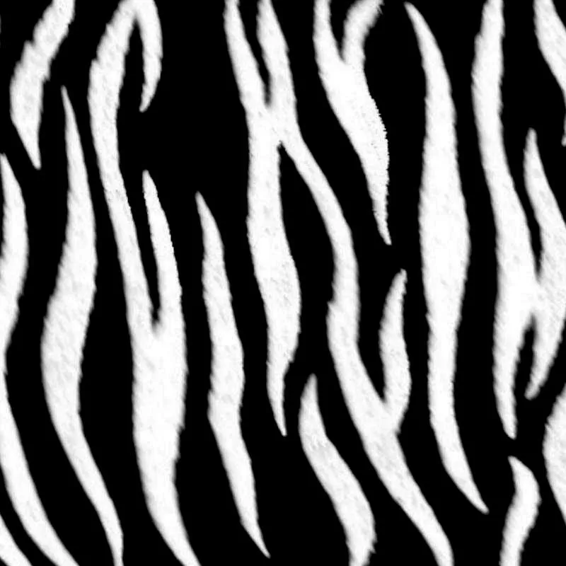 Textura Natural:Cebra | TEXTURAS-TIPOS | Pinterest