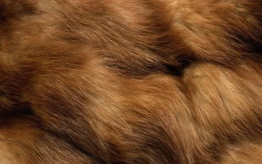Textura de Pelo - Fondos de Pantalla. Imágenes y Fotos espectaculares.