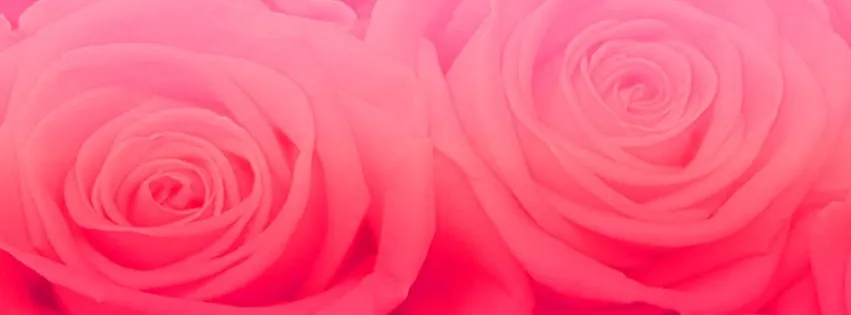 Textura de rosas by CatchingYourHeart on DeviantArt Textura de rosas by CatchingYourHeart on DeviantArt