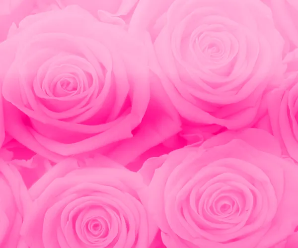 Textura De Rosas by DianaBiebsEditions on DeviantArt Textura De Rosas by DianaBiebsEditions on DeviantArt