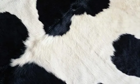 Texturas de Animales, alta calidad | Lo mejor de Photoshop