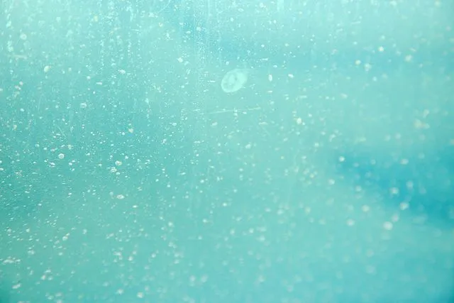 Fondos en azul turquesa - Imagui