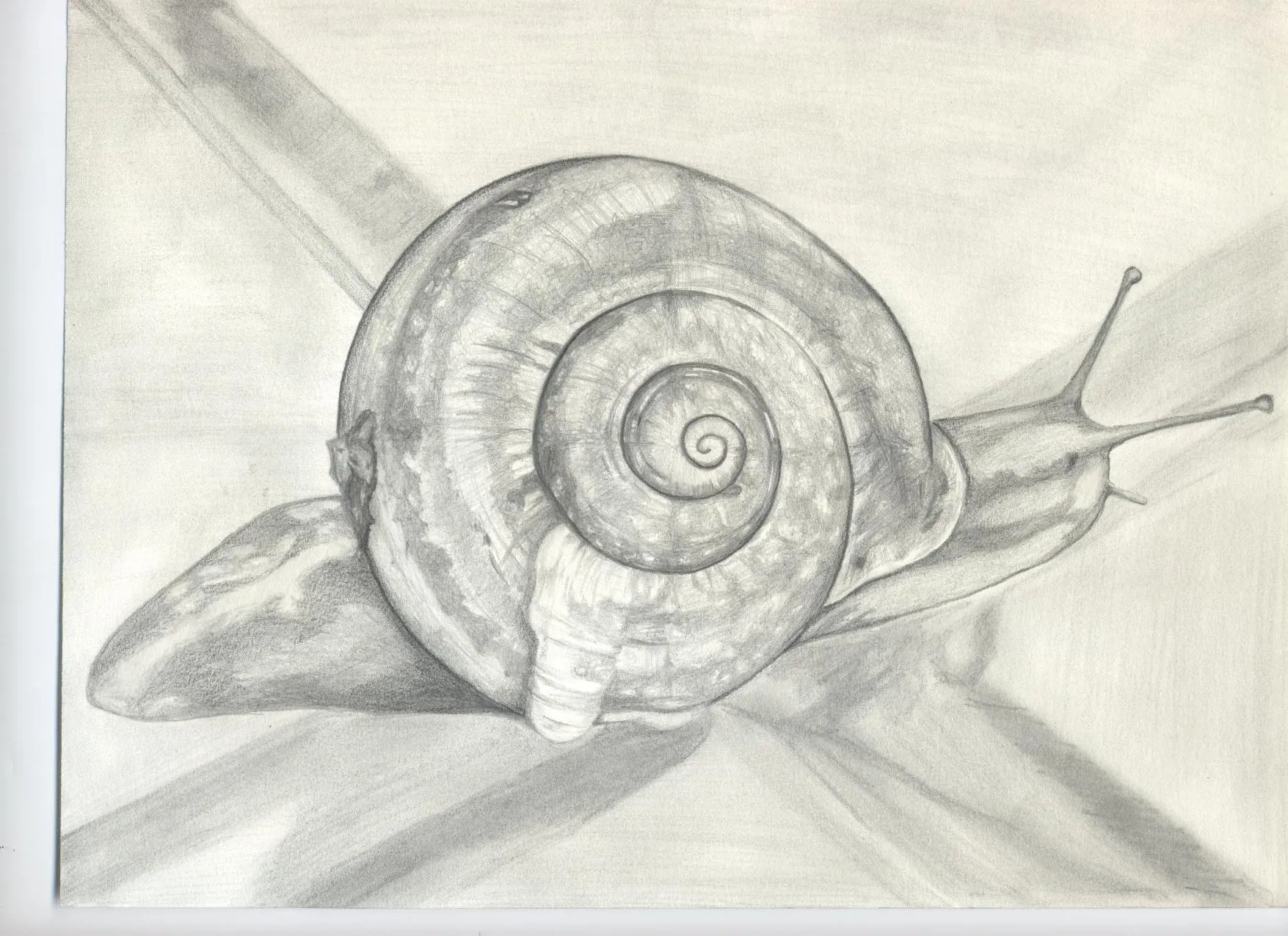 Texturas Dibujos | manuelprofesordeproyectos Manuel Padilla Álvarez Texturas Dibujos | manuelprofesordeproyectos Manuel Padilla Álvarez