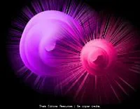 texturas fundos para fotos photoscape by thataschultz6 - Download ... texturas fundos para fotos photoscape by thataschultz6 - Download ...