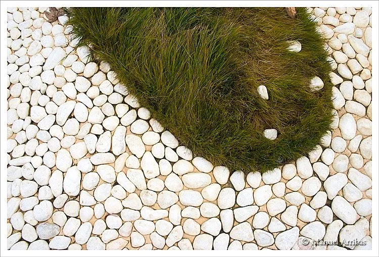 Texturas naturales y artificiales - Imagui