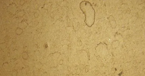 Textura de papel de foto antiguo para Photoshop - Imagui Textura de papel de foto antiguo para Photoshop - Imagui