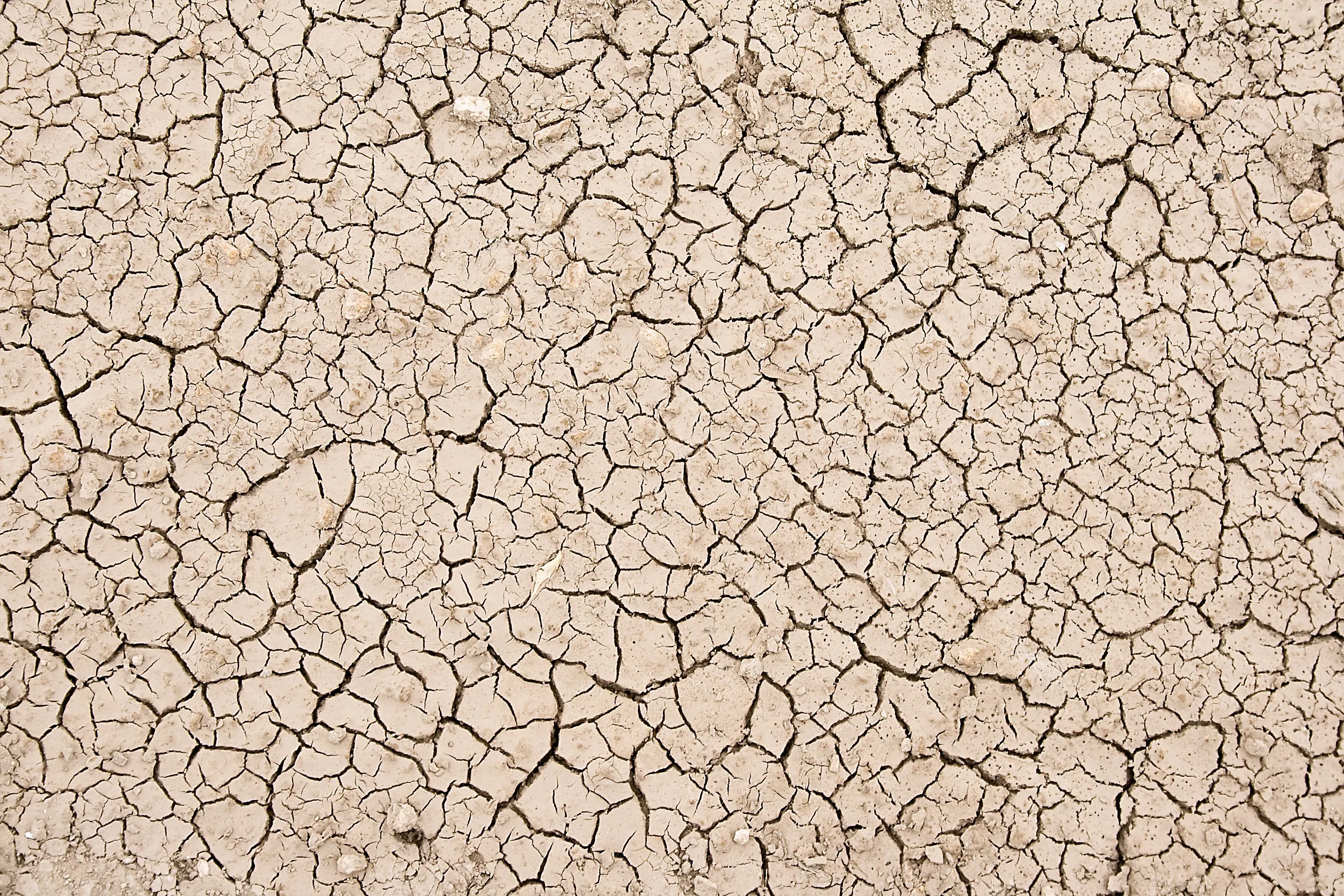 Textura_Tierra_Seca_02_by_ ... Textura_Tierra_Seca_02_by_ ...