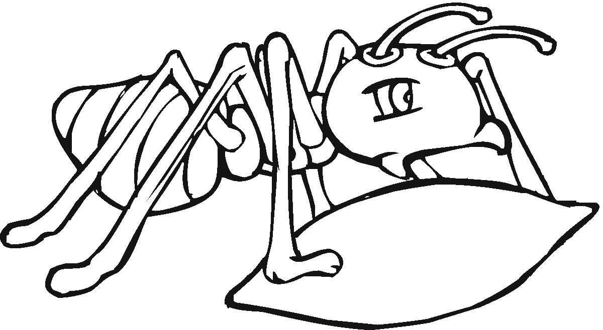 The ants Colouring Pages (page 2)