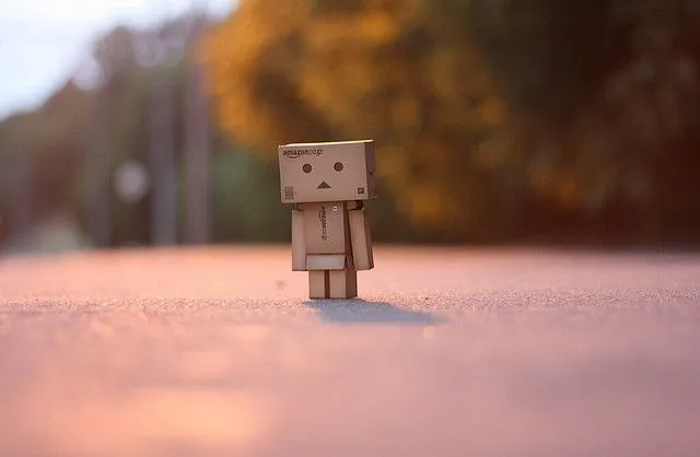The Box Man. Danboard. Robot. Revoltech | Flickr - Photo Sharing!