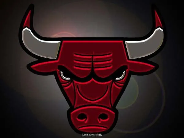 Bulls de chicago - Imagui