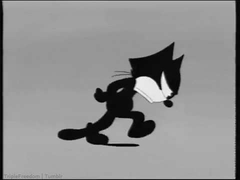 The-feline-follies
