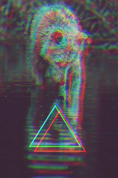 The infamous hipster animal, triangle, and filter. Click here for ... The infamous hipster animal, triangle, and filter. Click here for ...