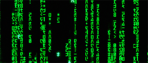giphy.gif giphy.gif