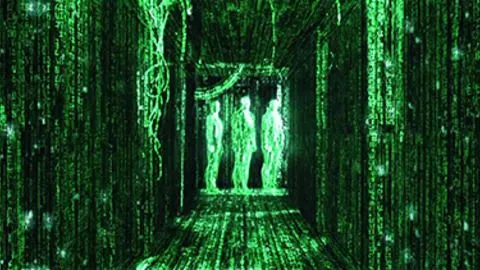 The Matrix Has You GIFs on Giphy