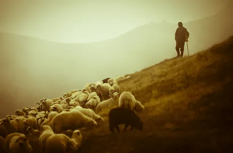 The Now Word » Blog Archive » Protector and Defender The Now Word » Blog Archive » Protector and Defender