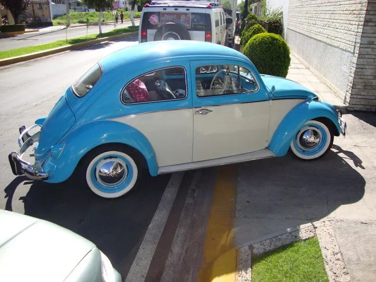 the original reztokuztom: UN PUTETE INFRAGANTI...