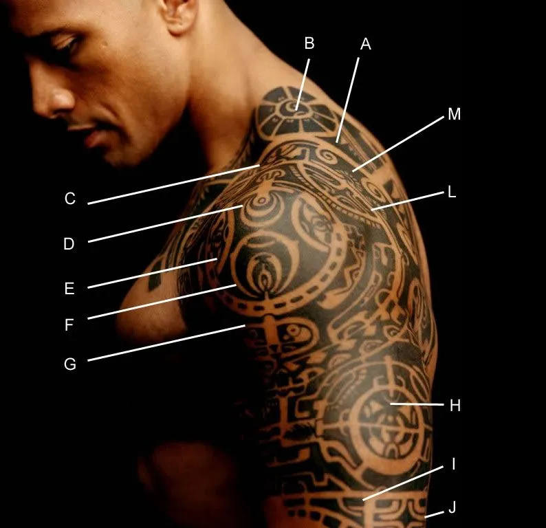 The Rock - Significado de sua Tattoo - Tudo de Bom