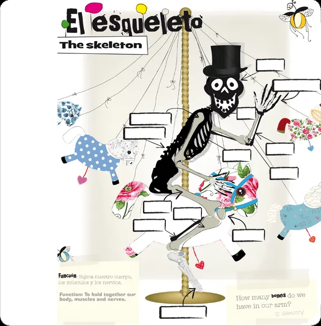 The skeleton - El esqueleto. Arrastrar y soltar (Everest ...