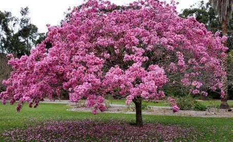 The Wallpaper Store Blog | Decoración y tendencias con Papel ...