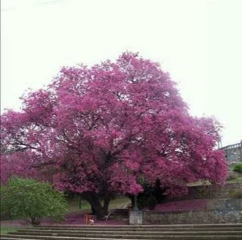 The Wallpaper Store Blog | Decoración y tendencias con Papel ...