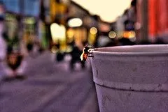 The World's Best Photos of abeja and calle - Flickr Hive Mind The World's Best Photos of abeja and calle - Flickr Hive Mind
