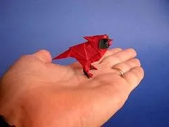 The World's Best Photos of ave and papiroflexia - Flickr Hive Mind