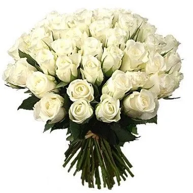 TheFlowerSpot: abril 2012