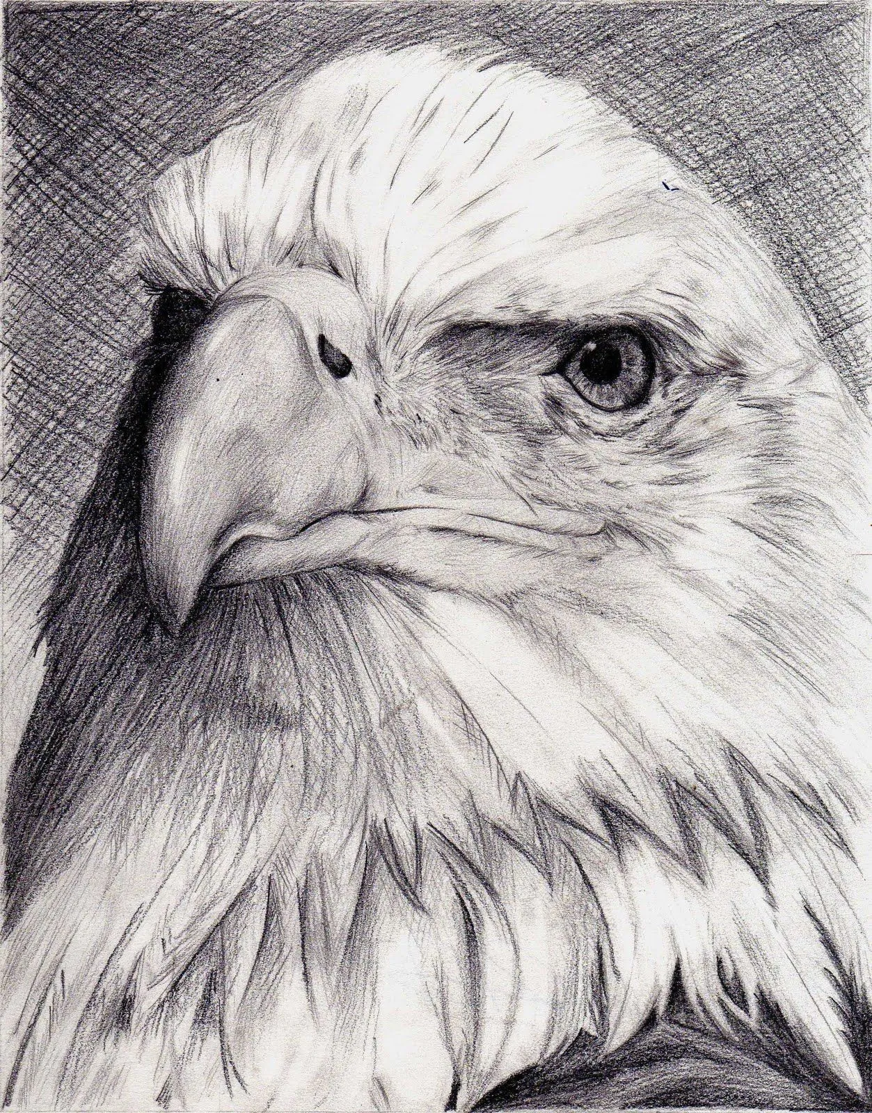 TÉCNICAS DE DIBUJO: ¿Qué es dibujo? Unidad I TÉCNICAS DE DIBUJO: ¿Qué es dibujo? Unidad I