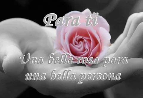 Para ti, Una bella rosa para una bella persona. | Amiga/Friend ... Para ti, Una bella rosa para una bella persona. | Amiga/Friend ...
