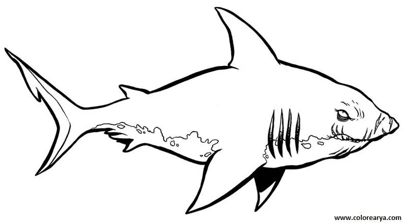 Dibujos para colorear y pintar para los niños
