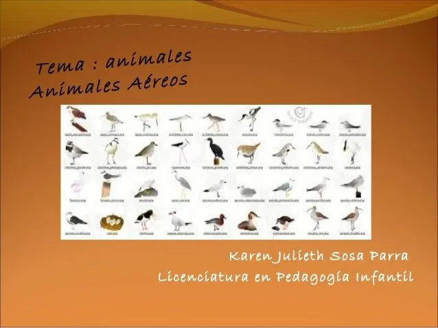 Tic presentacion animales aereos