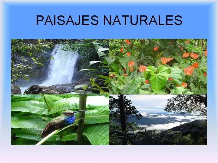 Que es paisaje natural - Imagui