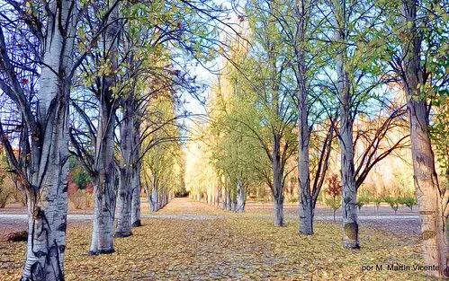 el tiempo, por si mismo: Paisajes, algunos con figuras de espalda