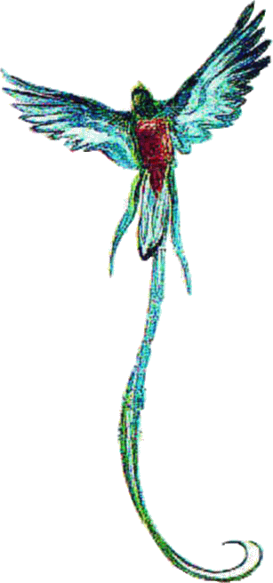 Son tiempos difíciles para los soñadores