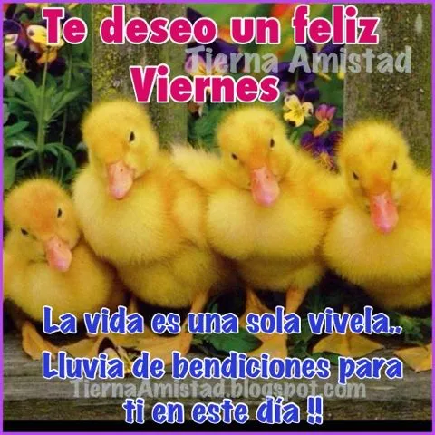 Tierna Amistad : Dios está contigo