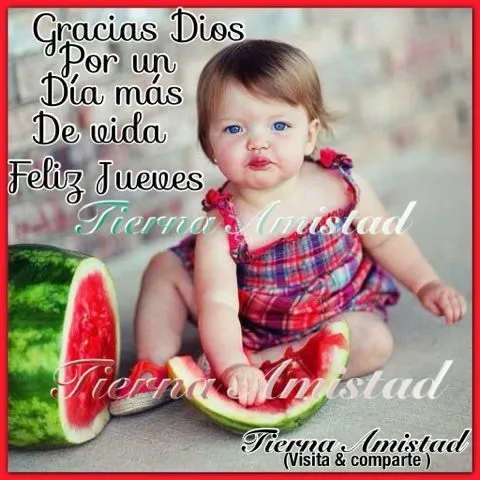 Tierna Amistad : Gracias Señor . | PARA LA VIDA DIARIA CON JESUS ...