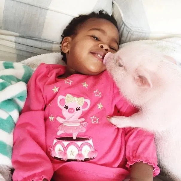 La tierna amistad entre una niña de 2 años y su cerdito | Bored Panda La tierna amistad entre una niña de 2 años y su cerdito | Bored Panda
