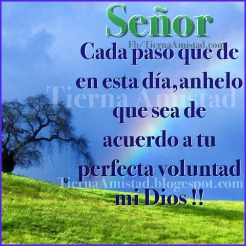 Tierna Amistad : Señor