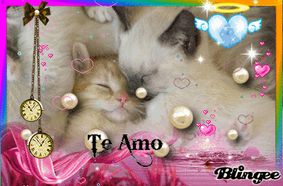 tiernos gatitos Fotografía #129427680 | Blingee.