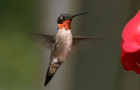 Tierra, agua, aire y fuego: naturaleza en movimiento con time ...