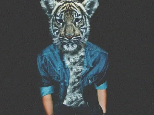 Tiger cool photography animals head hipster | MODA PARA EL ...