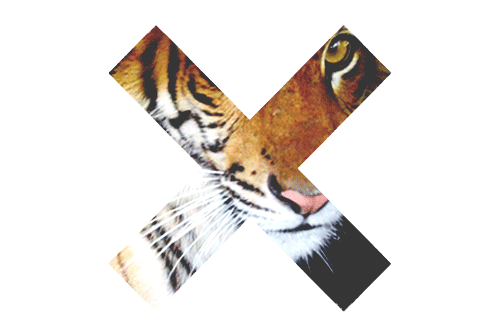 tiger gif | Tumblr