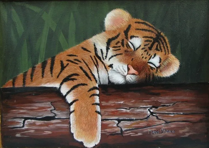 tigre bebe durmiendo | bebes | Pinterest