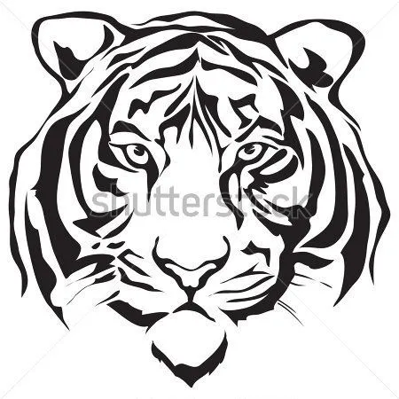 tigre de bengala blanco para dibujar - Buscar con Google | Dibujo ... tigre de bengala blanco para dibujar - Buscar con Google | Dibujo ...