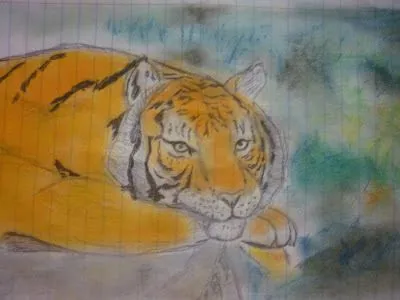 tigre de bengala (dibujo a lapiz y a pastel) | plastilina