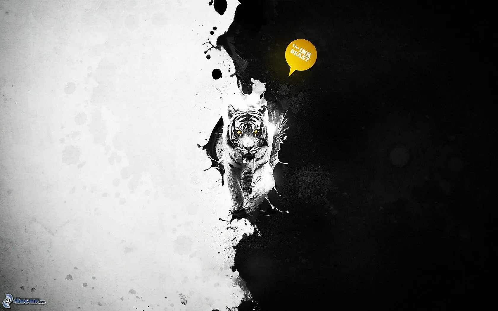 Tigre En Blanco Y Negro Car Memes