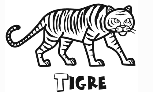 Como dibujar facil un tigre - Imagui