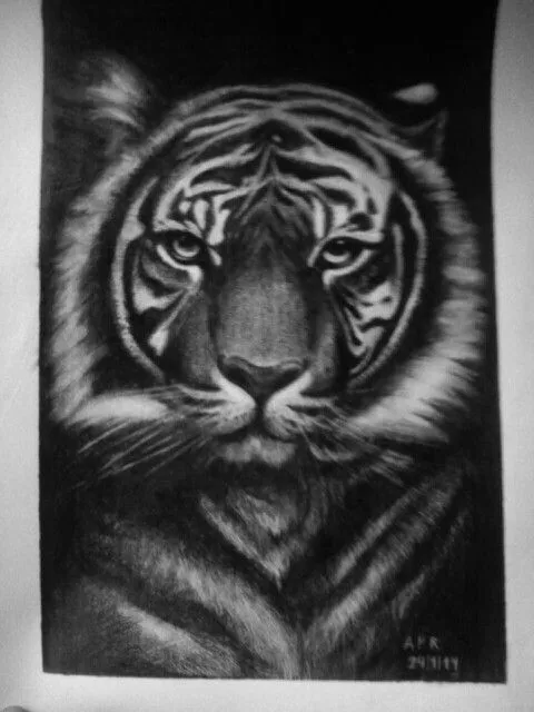 Tigre. Dibujo hecho a lápiz. ÁNGELA PAREDES RAMIRO | TIGRES ...